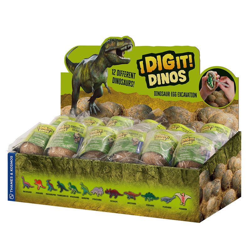 I Dig it Dinos! - Dino Egg (packed in 24 unit Display) STEM Thames & Kosmos   