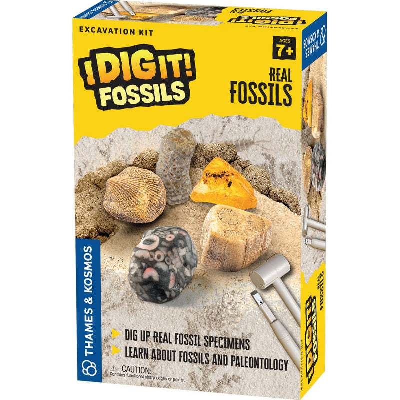 I Dig It! Fossils - Real Fossils Excavation Kit STEM Thames & Kosmos