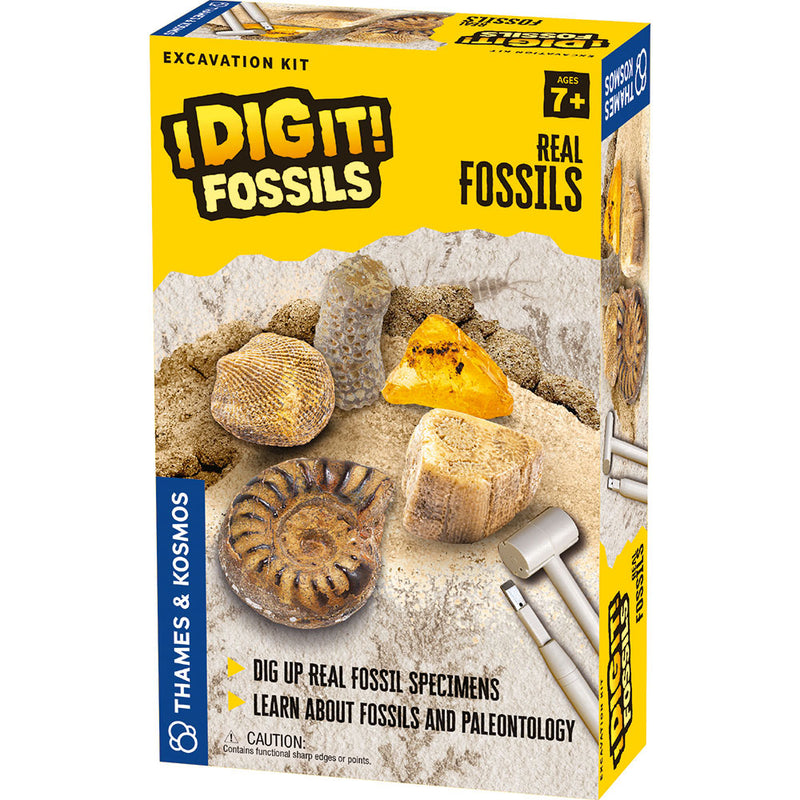 I Dig It! Fossils - Real Fossils Excavation Kit STEM Thames & Kosmos   
