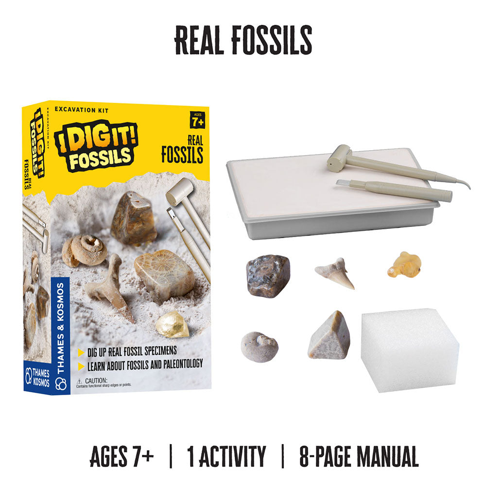 Thames & Kosmos I Dig It! Excavation Kits | Bundle – 2 items: Glow-in-the-Dark T. Rex and Real Fossils Excavation Kit | Learn about Paleontology, Archaeology, Mineralogy STEM Thames & Kosmos   
